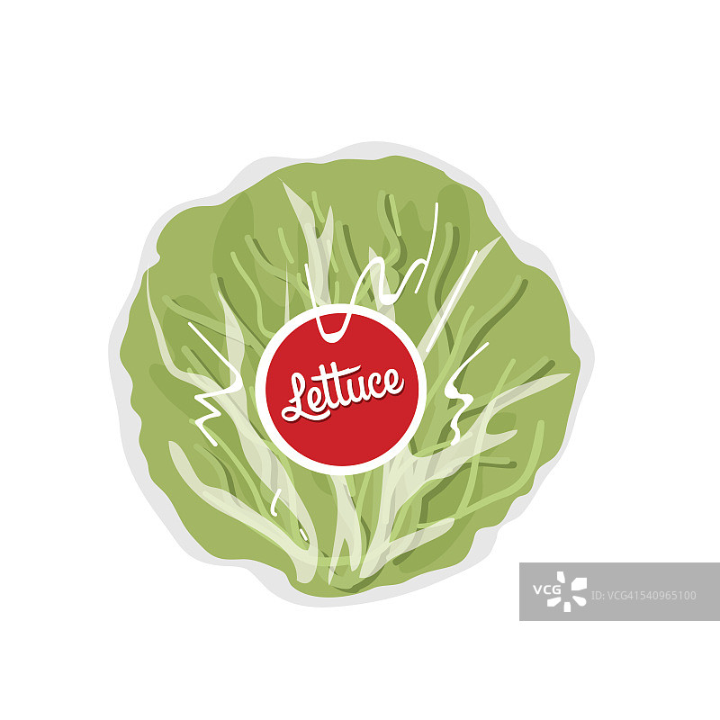 透明塑料薄膜包裹的生菜图片素材