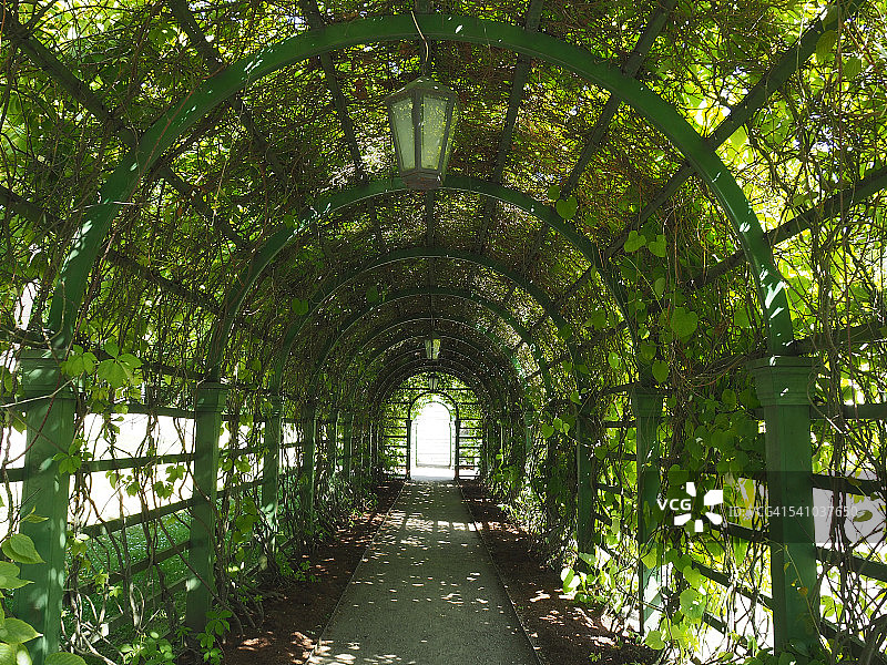 塔林卡德里奥鲁公园绿色隧道图片素材