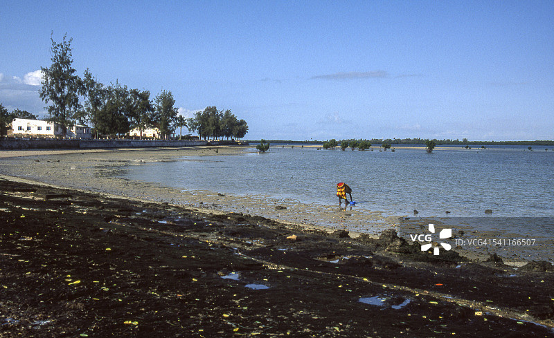 女人在退潮时寻找贝壳图片素材