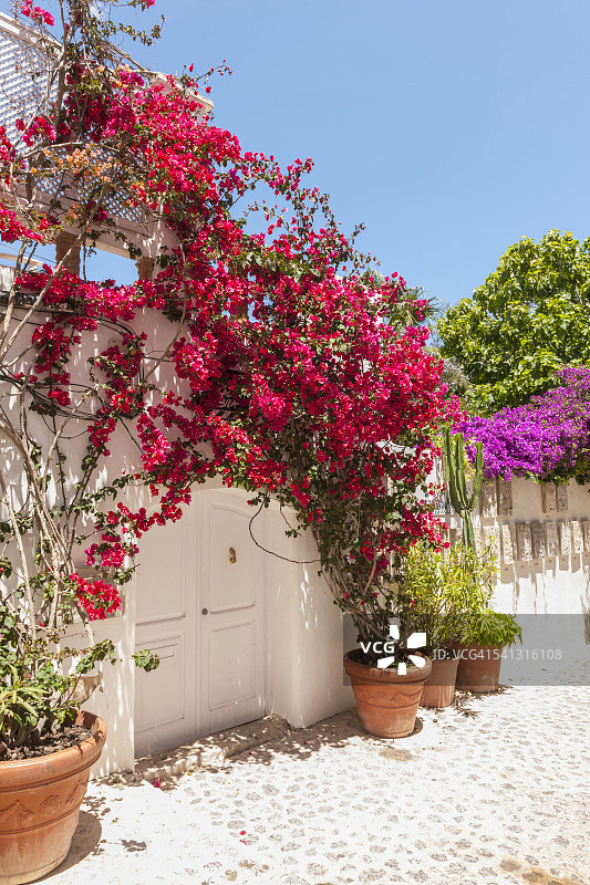 巴利阿里群岛老城区风光图片素材