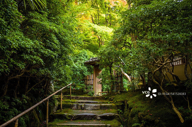 被茂盛植物环绕的楼梯图片素材