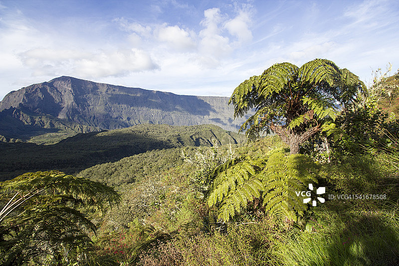 桫椤和马法特冰斗景观，留尼汪岛图片素材