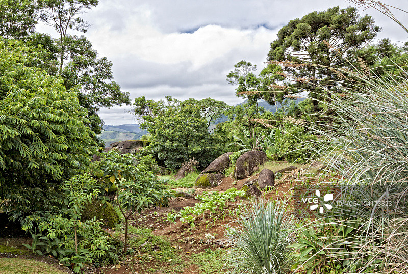 自然的多样性图片素材