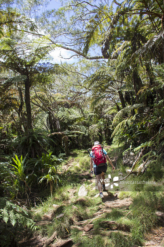 留尼汪岛贝洛夫森林徒步旅行图片素材