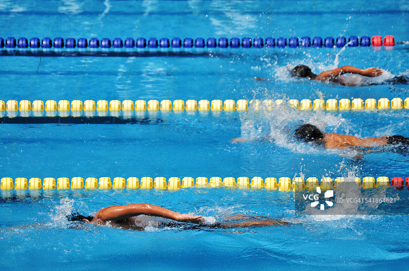 游泳者在泳池中自由泳图片素材