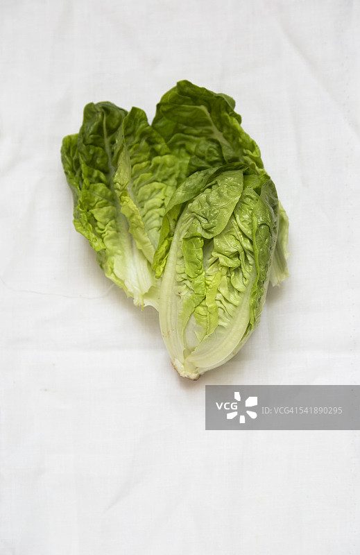 生菜图片素材