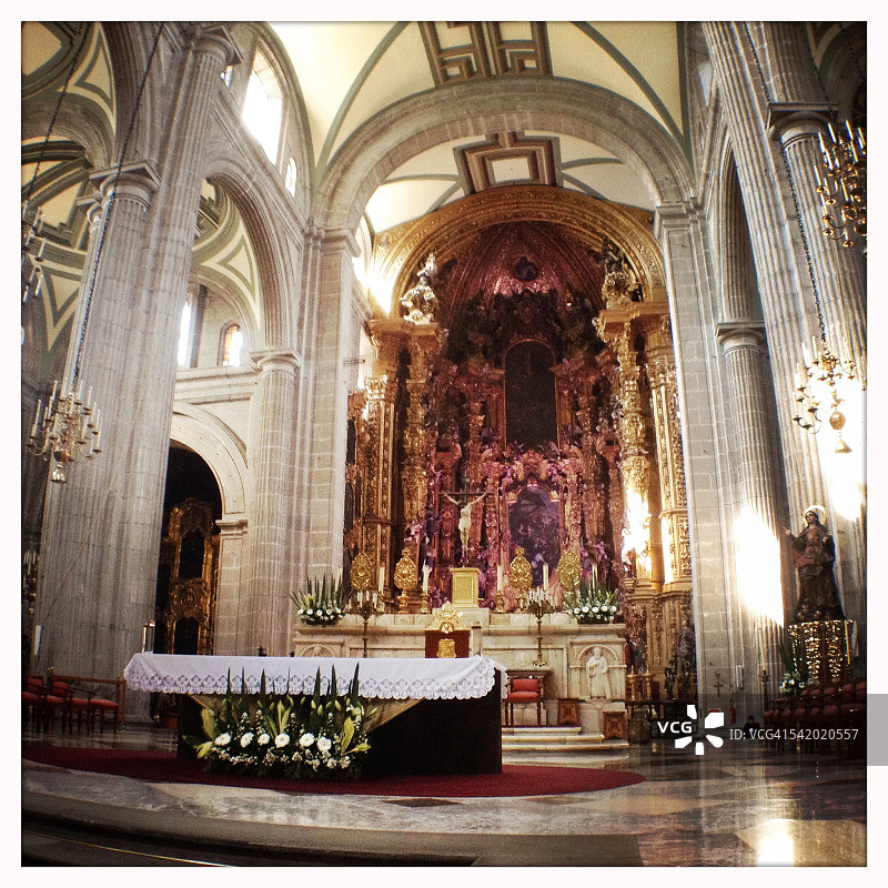 墨西哥城图片素材