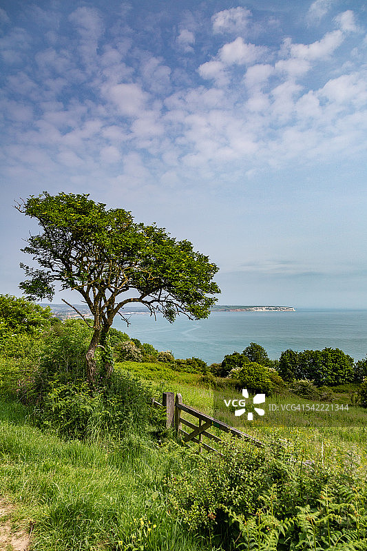 眺望桑当湾的卡尔弗丘陵图片素材