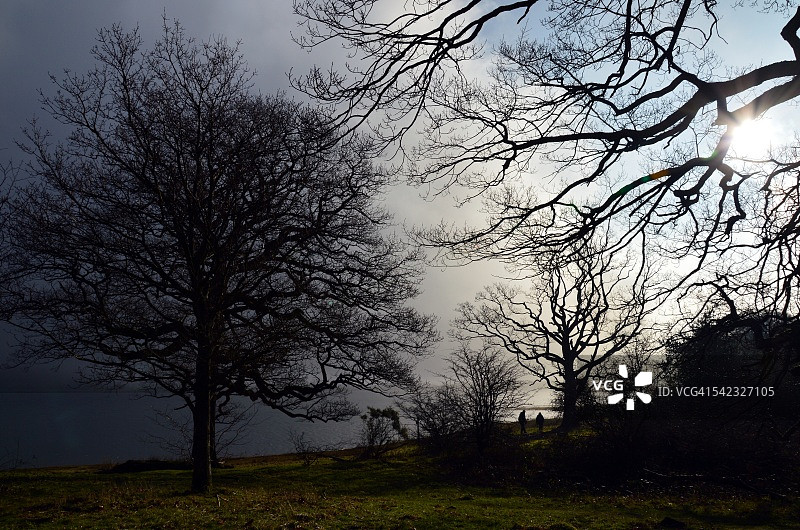 海滩上的陌生人图片素材