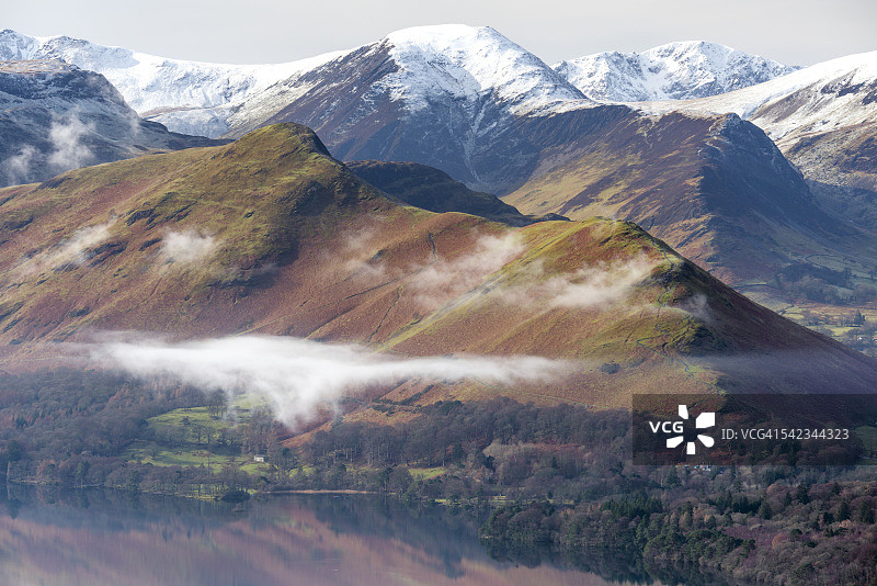 湖区猫铃图片素材