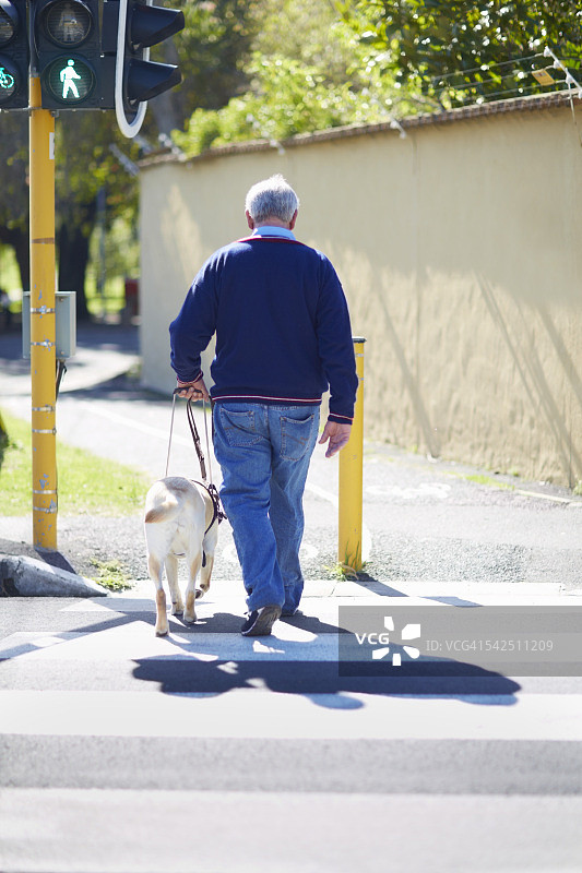 视障人士在导盲犬的帮助下过马路图片素材