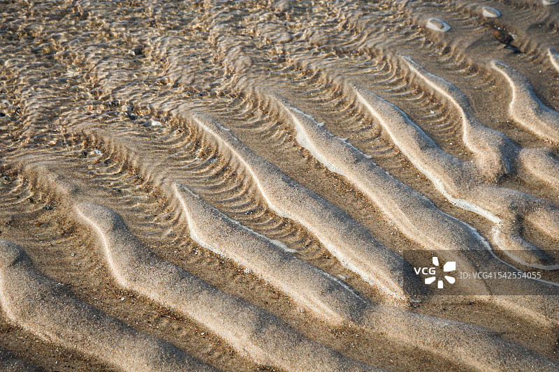 丹麦海岸的波纹沙 deposit图片素材