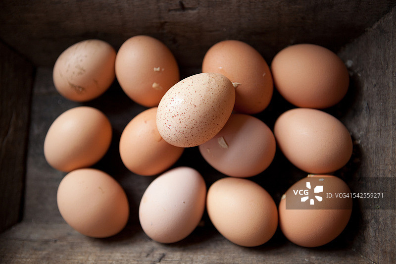 13个农场新鲜鸡蛋图片素材