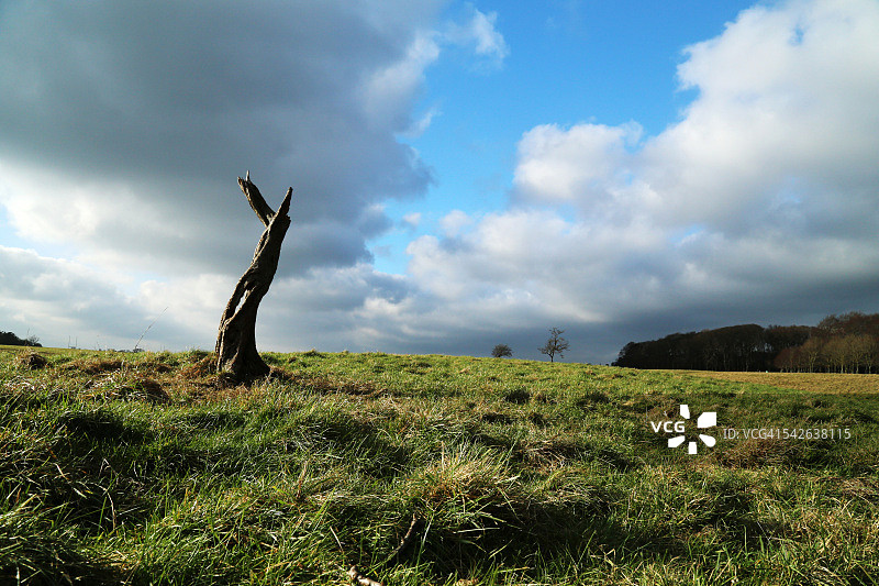 都柏林凤凰公园图片素材
