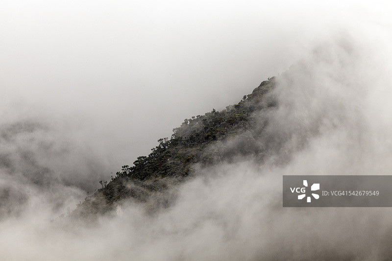 乌干达的鲁文佐里山脉图片素材