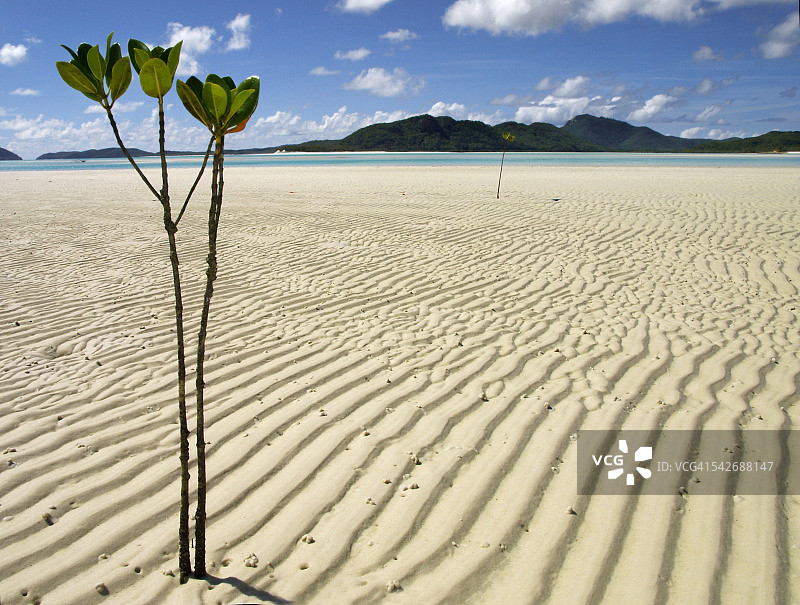 圣灵群岛的怀特黑文海滩图片素材