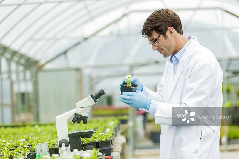 研究花卉的英俊生物学家图片素材