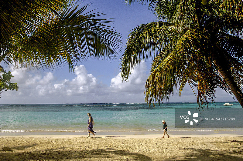 母子在海边散步图片素材