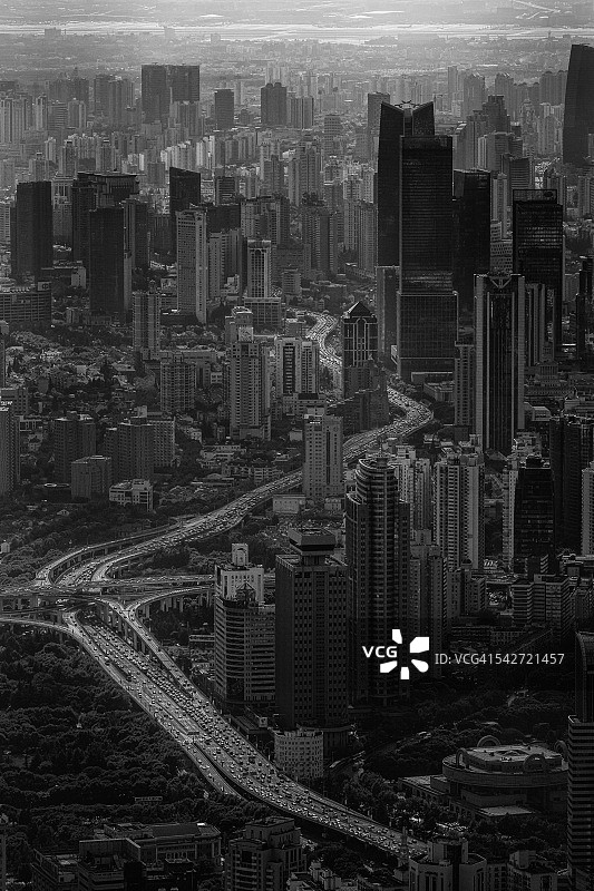 银色龙图片素材