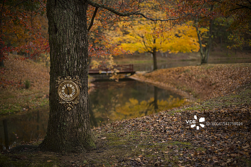 时间就是金子图片素材