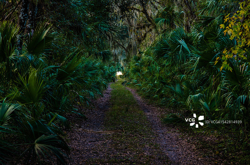 旧铁路坡图片素材