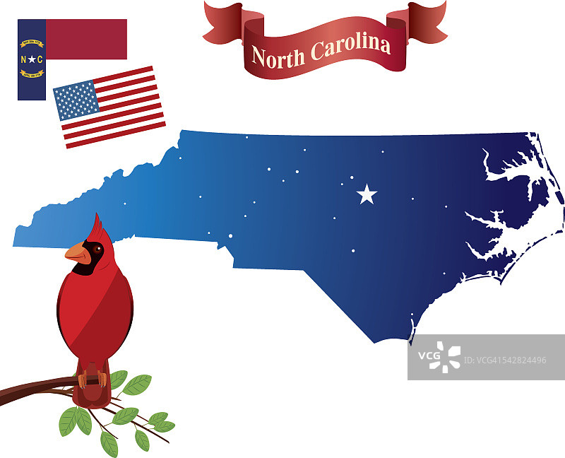 北卡罗来纳州和红雀鸟图片素材