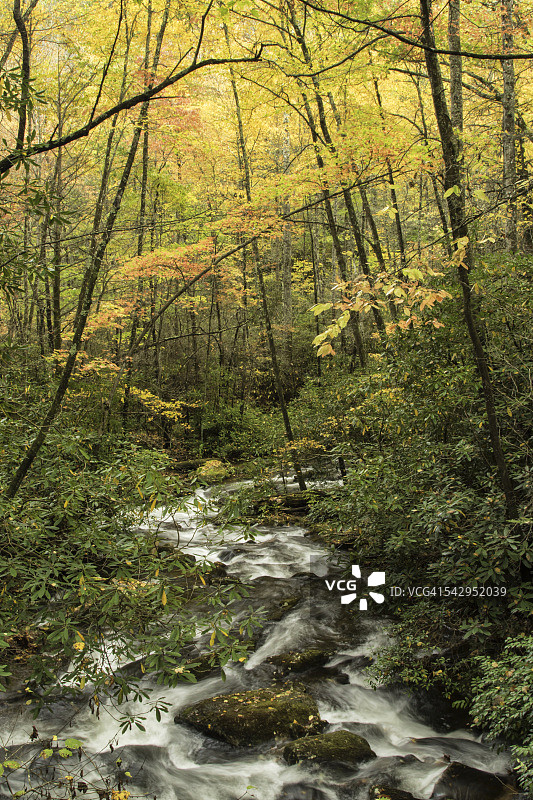 小溪和秋天的色彩图片素材