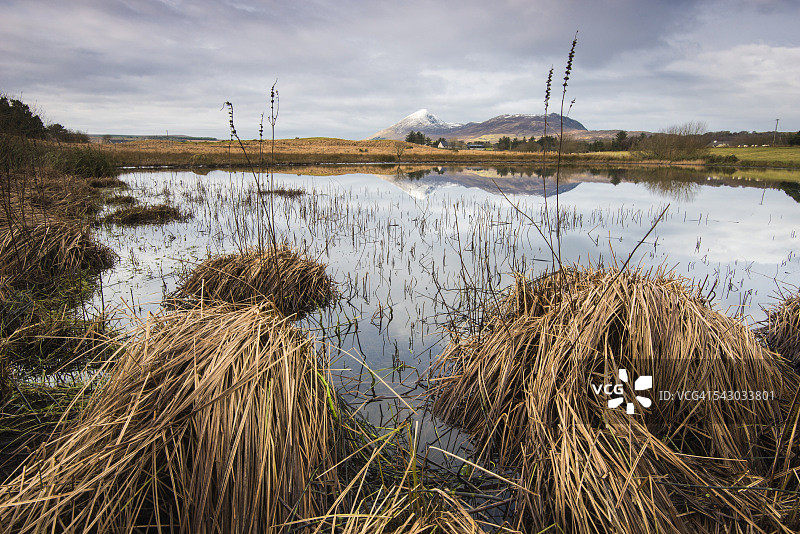 多草池塘和克罗帕特里克山图片素材