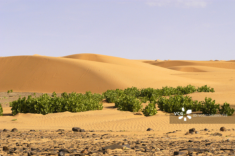 佐埃拉特和图林之间的沙漠图片素材