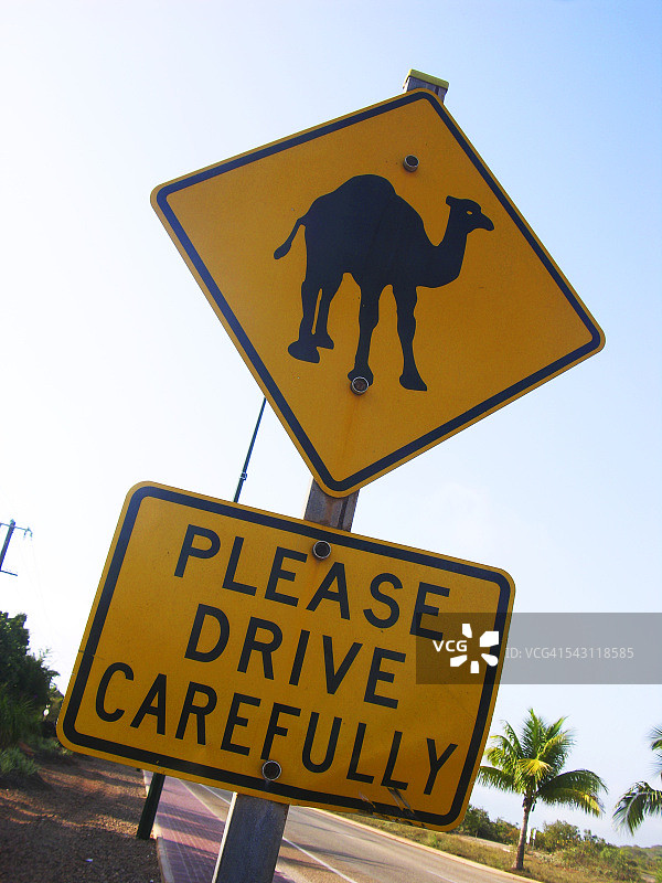 骆驼标志图片素材