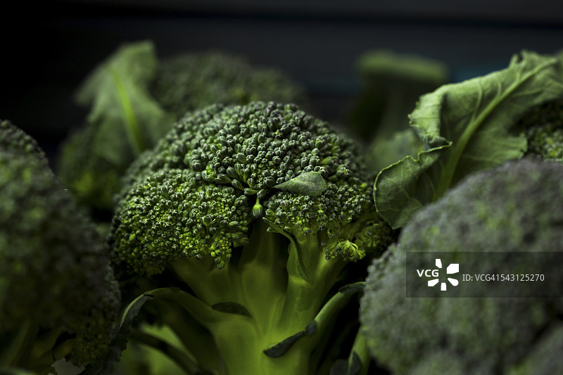 西兰花微距拍摄图片素材