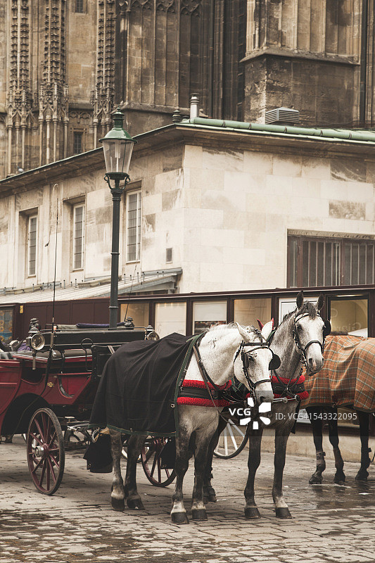 奥地利维也纳的马车图片素材