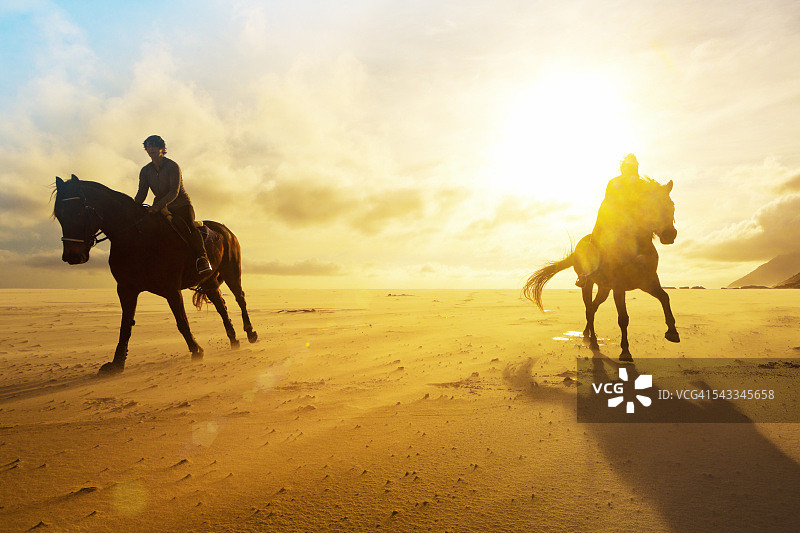 骑手们在金色冬日阳光下飞驰图片素材