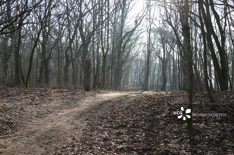 蒂夫韦德草甸图片素材