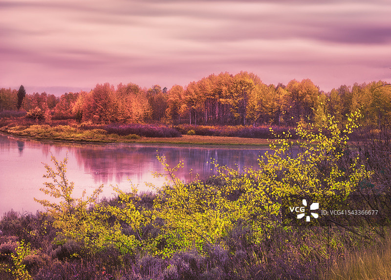 迷幻的坡突变体自然2015图片素材