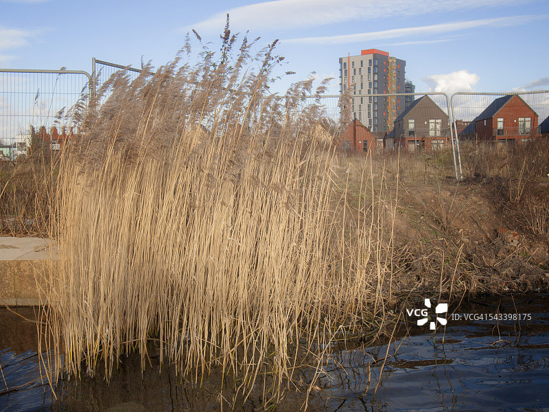 曼彻斯特罗奇代尔运河的生活图片素材