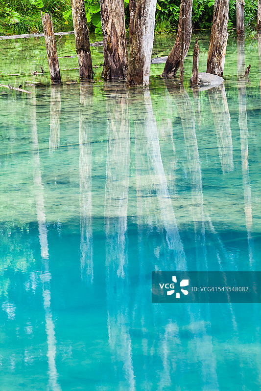 北海道的蓝色池塘图片素材