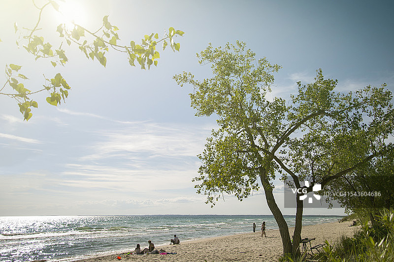 沙岸海滩图片素材