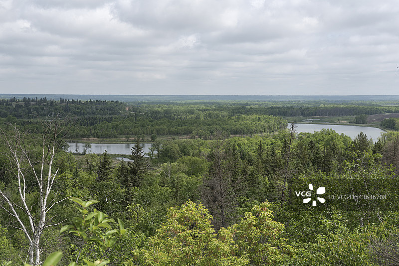 云杉林省立公园的阿西尼博因河图片素材