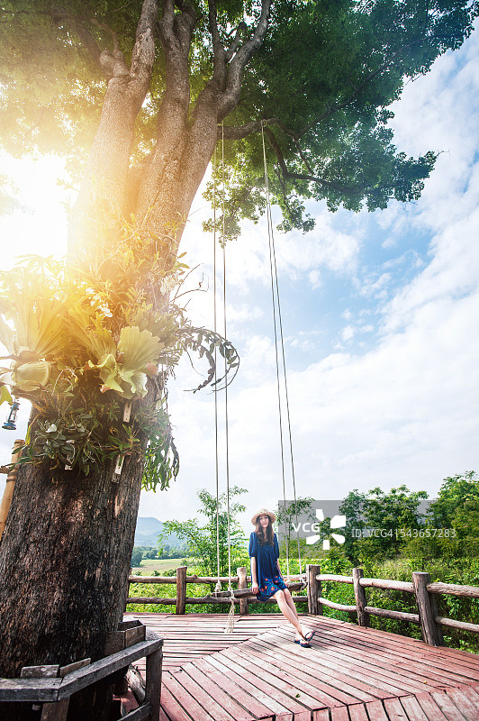 大树上的秋千图片素材