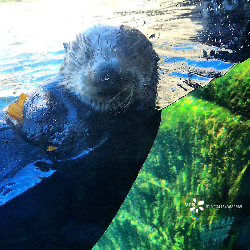 水下摄影图片素材