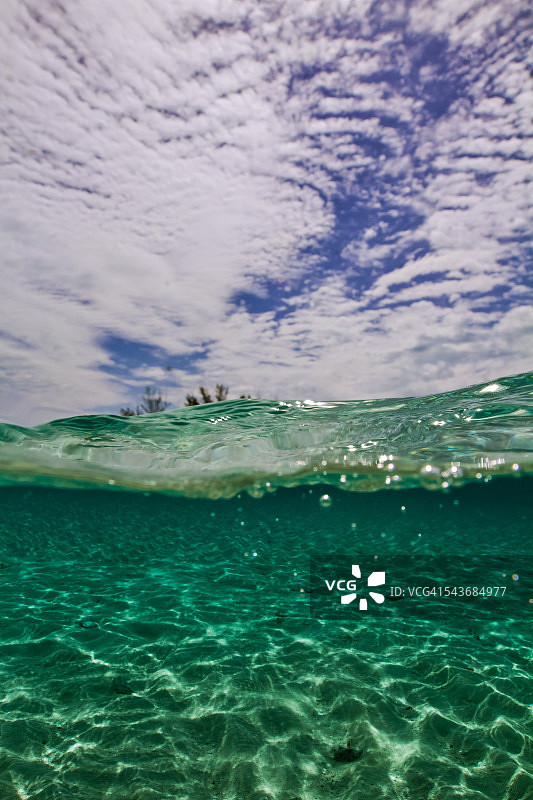 水下摄影图片素材