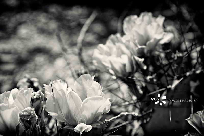 前进的道路图片素材