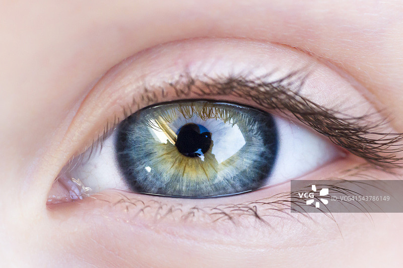 眼睛细节图片素材