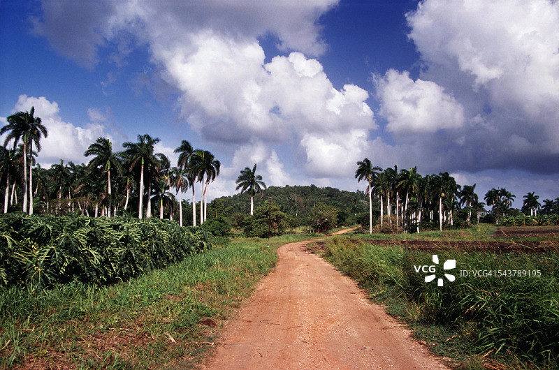 古巴乡村风光图片素材