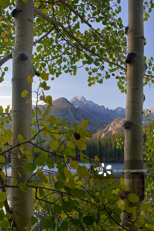 透过树木看朗斯峰图片素材