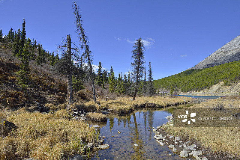 不列颠哥伦比亚省山顶湖图片素材