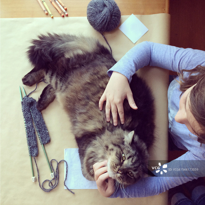 女孩和猫一起编织图片素材