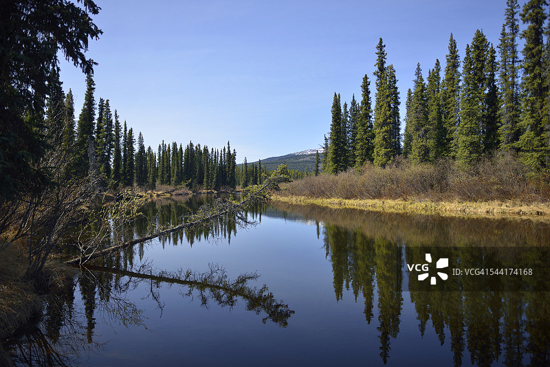 片刻沉思图片素材