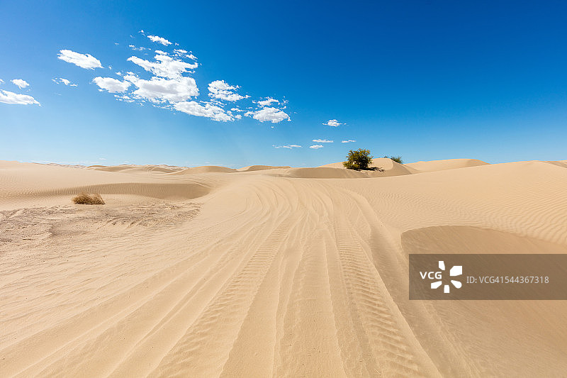 沙丘上的痕迹图片素材